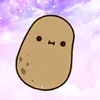 wi._.wo