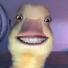 thesmileyduck