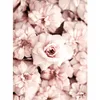 itsmesara16