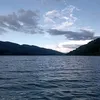 tiktok_thuongly95