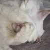 aufdieknie0