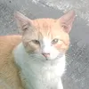 itsyourcassiee.3