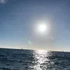 sailinglifemdr