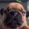 samu_922