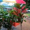 user3504662789367