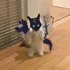 hoanghyepnevergrowup