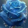 15ngoc08lan1996