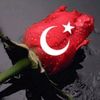 zlem.eyup7