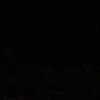 user00220506