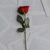 chex_68