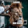 _timur_62