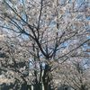 _rjkim_0315