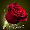 tamashbeen39