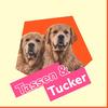 tassenandtucker