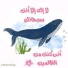 user2427881357004
