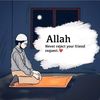 user796619274