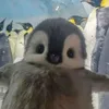 fewqzf