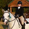 equestrian_morgan421