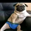 jamaica_jakson