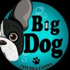 bigdogestetica