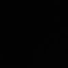 el_lie0120