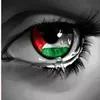 filsanelmi5