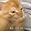 anderbb