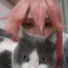 https_ninaa_