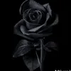 iouzxe
