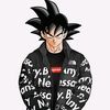 gokufs