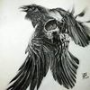 jeremyreynolds520