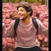 the_tommo_way13