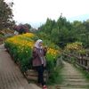 mimi_meonk
