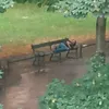 saadamunderground