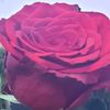 user05296321