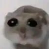 miaarjo22