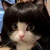 betucutes1thegioi