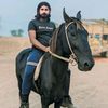 rashid8277522