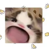 nguyenef0