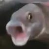 lahuynekmay