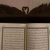 norhan___30