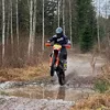 sipdvejkungen