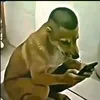 tuanvu0_0