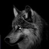 lastwolf_12