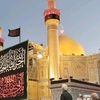 786husain5