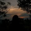 dishaa_0.2