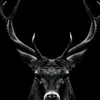 malangikhan25