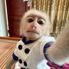 aleejandra223