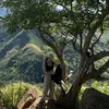 dfntlyntjey