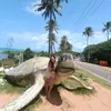 _laviseixas